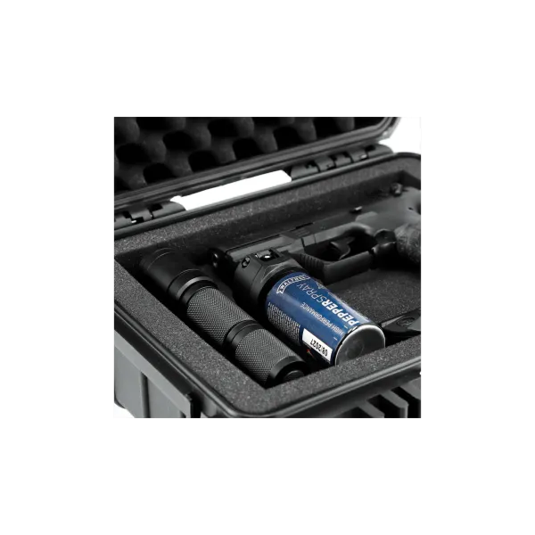 PIST WALTHER P22Q CAL 9 MM PAK - READY 2 DEFEND KIT