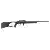 CARAB REGENT RBA 1 CAL 22LR 10 COUPS 20''