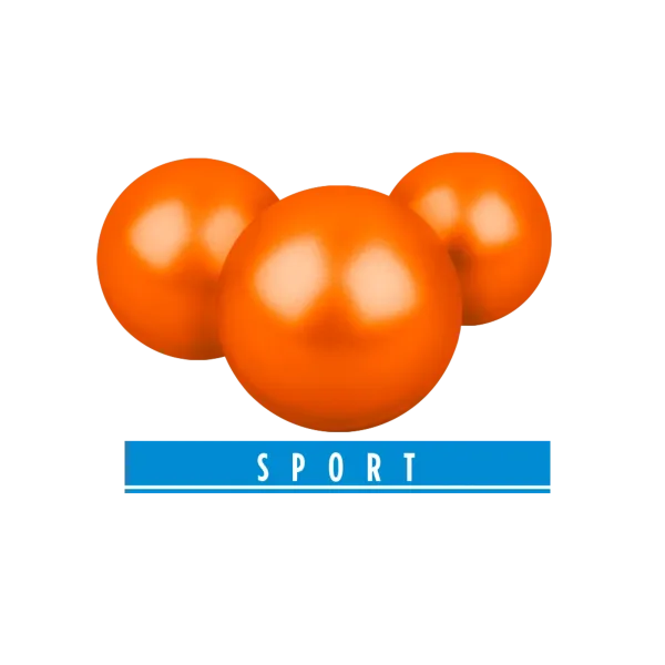 BILLES PAINTBALL BIO ORANGE CAL 43 SPORT PAB 43 X500