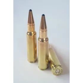 CART SANS PLOMB FOX BULLETS 8.5X55 BLASER FOX CLASSIC HUNTER 185GR (BOITE DE 20)
