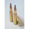 CART SANS PLOMB FOX BULLETS 8.5X55 BLASER FOX CLASSIC HUNTER 185GR (BOITE DE 20)
