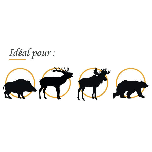 CART SANS PLOMB FOX BULLETS 8X57IS FOX CLASSIC HUNTER 160 GR (PAR BOITE DE 20)