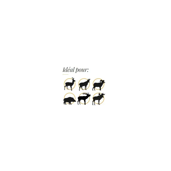 OGIVES SANS PLOMB FOX CLASSIC HUNTER 6,5 MM (.264) 123 GR - 50 PIECES