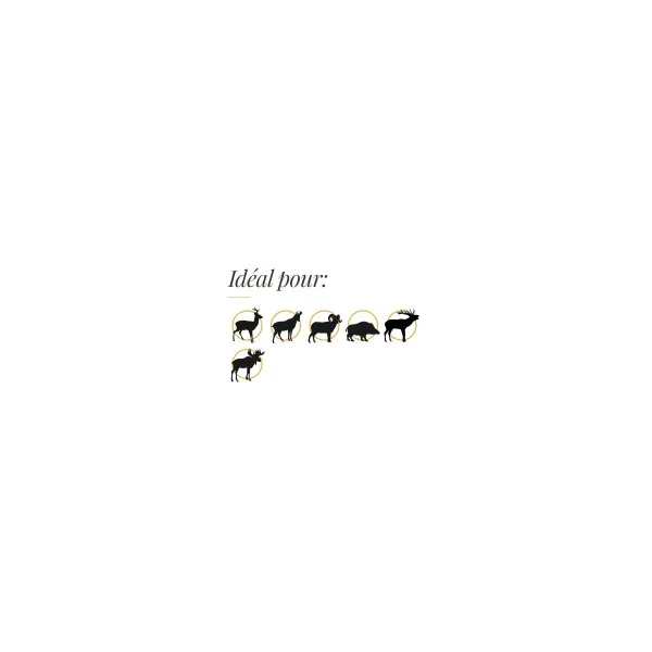 OGIVES SANS PLOMB FOX CLASSIC HUNTER 7 MM (.284) 130 GR -50 PIECES