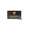 OGIVES SANS PLOMB FOX CLASSIC HUNTER 8,5 MM (.338) 185 GR - 50 PIECES