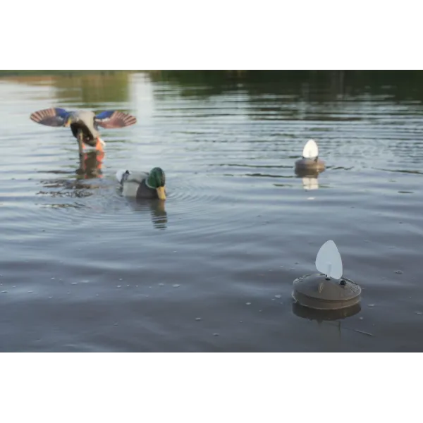 Leurre MOJO Flock A Flicker 2 x4 Appelant Mojo Canard