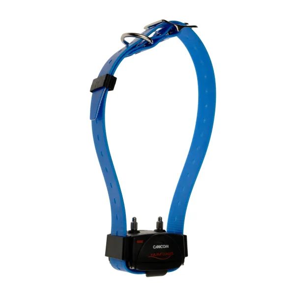Collier d'éducation Canicom seul Collier seul CANICOM avec sangle bleue
