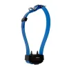 Collier d'éducation Canicom seul Collier seul CANICOM avec sangle bleue