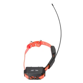 Num’Axes GPS MINI collier + télécommande éducation Ensemble de localisation CANICOM GPS MINI