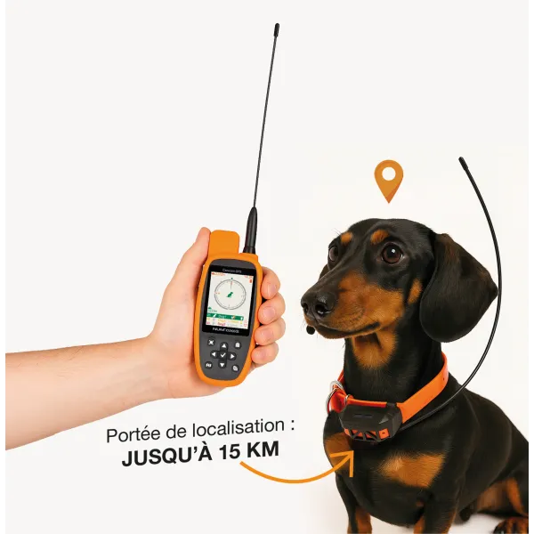 Num’Axes GPS MINI collier + télécommande éducation Ensemble de localisation CANICOM GPS MINI