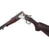 Carabine Renato Baldi Express Premier Acier FX Wood 30.06