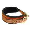Collier chien de sang orange fluo - Niggeloh Taille S - Tour de cour 40/50 cm.