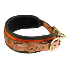 Collier chien de sang orange fluo - Niggeloh Taille M - Tour de cour 48/60 cm.