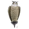 Appelant Grand Duc ailes battantes