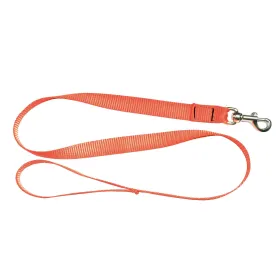 Laisse 1,20 m sangle orange fluo pour chien - Country
