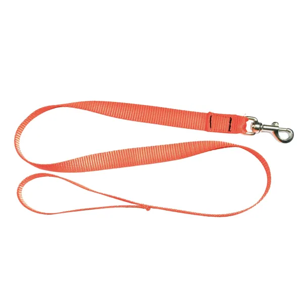 Laisse 1,20 m sangle orange fluo pour chien - Country