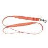 Laisse 1,20 m sangle orange fluo pour chien - Country