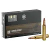 Munition grande chasse RWS Cal. 300 Win type UNI-TM-KS-DK-EVO type DK