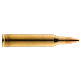Munition grande chasse RWS Cal. 7 mm Rem Mag RWS Cal.7 mm REM  type KS
