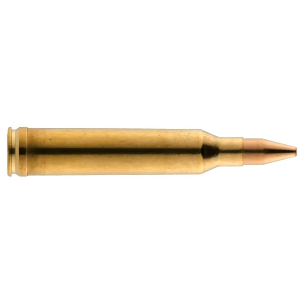 Munition grande chasse RWS Cal. 7 mm Rem Mag RWS Cal.7 mm REM  type KS