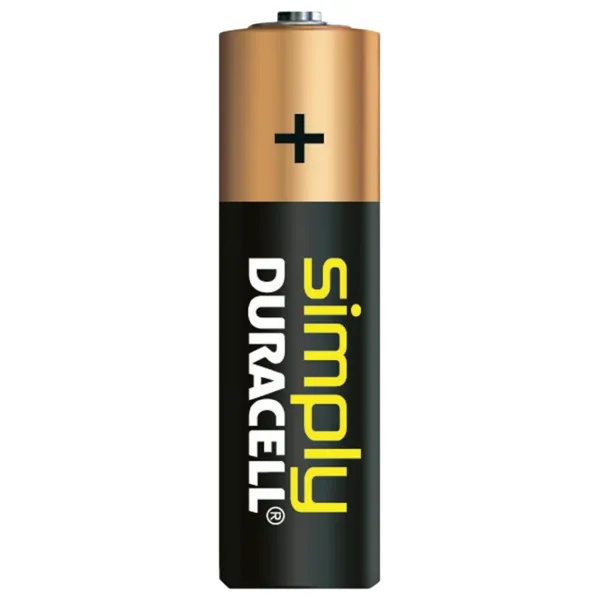 Piles alcalines AA LR6 1,5 volt - Duracell AA LR6