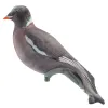 5 Chaussettes 3D pour appelant pigeon