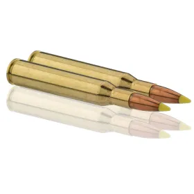 Cartouches à percussion centrale Sologne .270 Win Cal.270 WIN type NOSLER BALLISTIC TIP