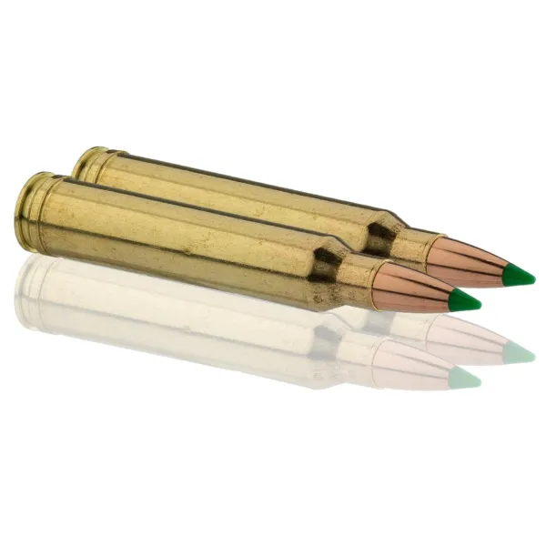 Cartouches à percussion centrale Sologne .300 Win Mag Cal.300 WIN type NOSLER PARTITION