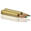 Cartouches à percussion centrale Sologne .300 Win Mag Cal.300 WIN type NOSLER PARTITION