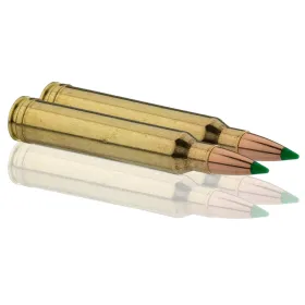 Cartouches à percussion centrale Sologne .300 Win Mag Cal.300 WIN type NOSLER PARTITION