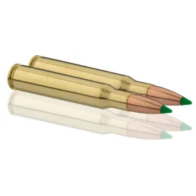 Cartouches à percussion centrale Sologne 30-06 Springfield Cal. 30.06 type NOSLER BALLISTIC TIP
