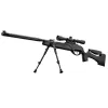 Carabine GAMO HPA IGT 19.9 joules cal. 4.5 mm + lunette 3-9 x 40 WR + bipied Carabine GAMO HPA IGT