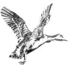 Pin's Jack Pyke - Canard Pin's Canard