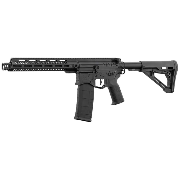 Réplique R15 mod 1 Zion Arms noire garde main long