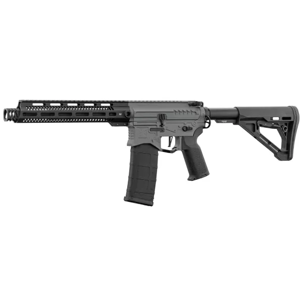 Réplique R15 mod 1 Zion Arms noir/gris garde main long