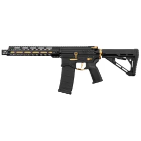 Réplique R15 mod 1 Zion Arms noire et or garde main long