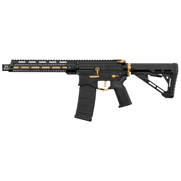 Réplique R15 mod 1 Zion Arms noire et or garde main long