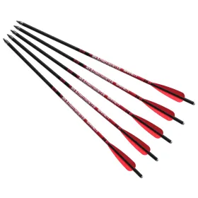 Barnett Headhunter™ 20'' – Pack de 5 traits en carbone