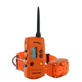 NUM'AXES - Ensemble de dressage CANICOM 1000 orange CANICOM 1000 orange