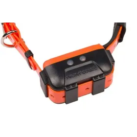 Collier de localisation supplémentaire CANICOM GPS 2 Collier seul Canicom GPS 2